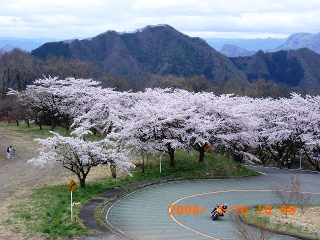 20080420妙義山お花見ハイキング 001.jpg